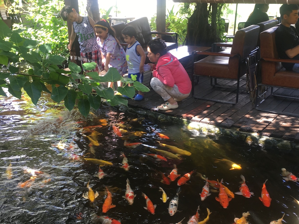 

Roma - Dien Ban - LA GAI HOMESTAY HOI AN