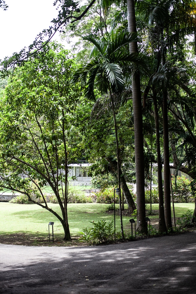 

Bologna - Port Antonio - Frenchman's Cove Resort