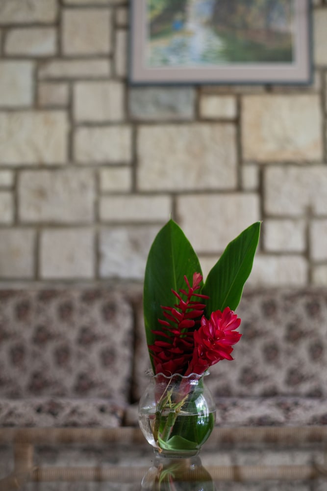 

Milano - Port Antonio - Frenchman's Cove Resort