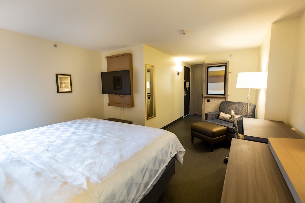 

Venezia - Toronto - Holiday Inn Toronto Downtown Centre