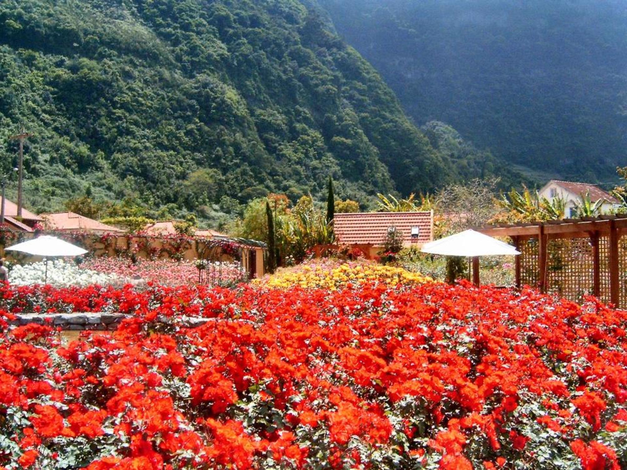 

Pisa - São Vicente - Pestana Quinta do Arco Nature & Rose Garden Hotel