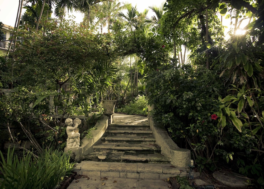

Bari - Paradise Island - Graycliff Hotel And Restaurant