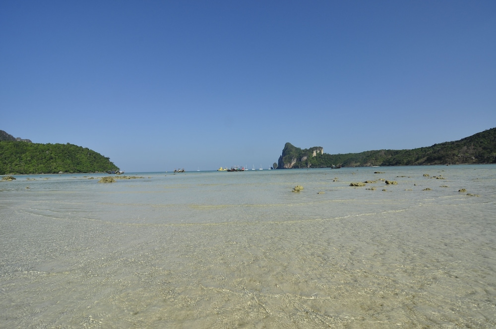

Roma - Koh Phi Phi - Phi Phi Twin Palms Bungalows