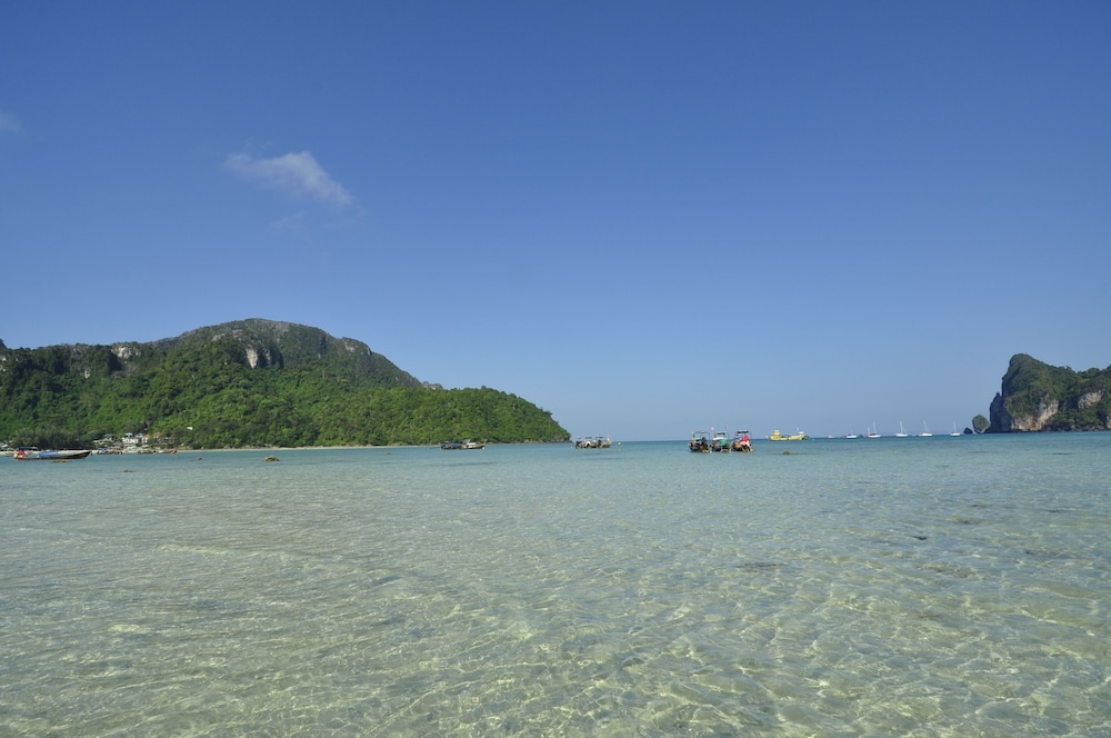 

Roma - Koh Phi Phi - Phi Phi Twin Palms Bungalows