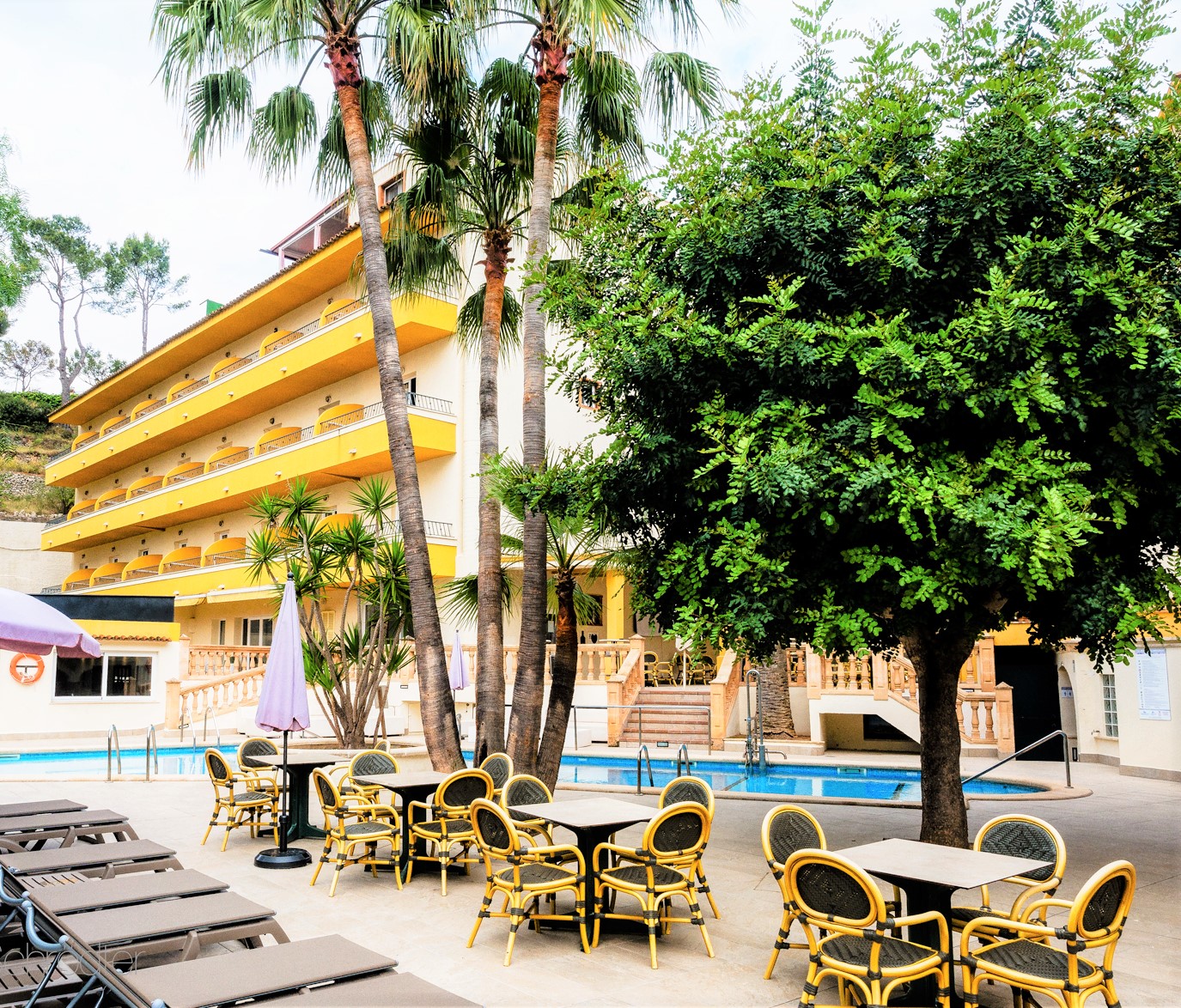 

Roma - Santa Ponsa - Flor los Almendros Hotel