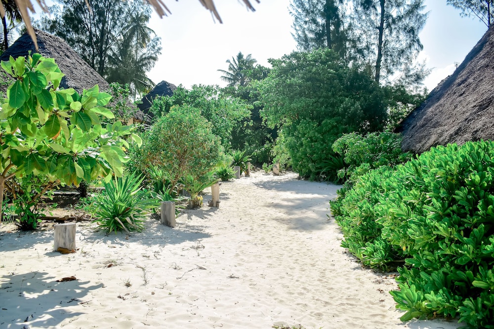 

Bari - Paje - Blue Earth Beach Bungalows