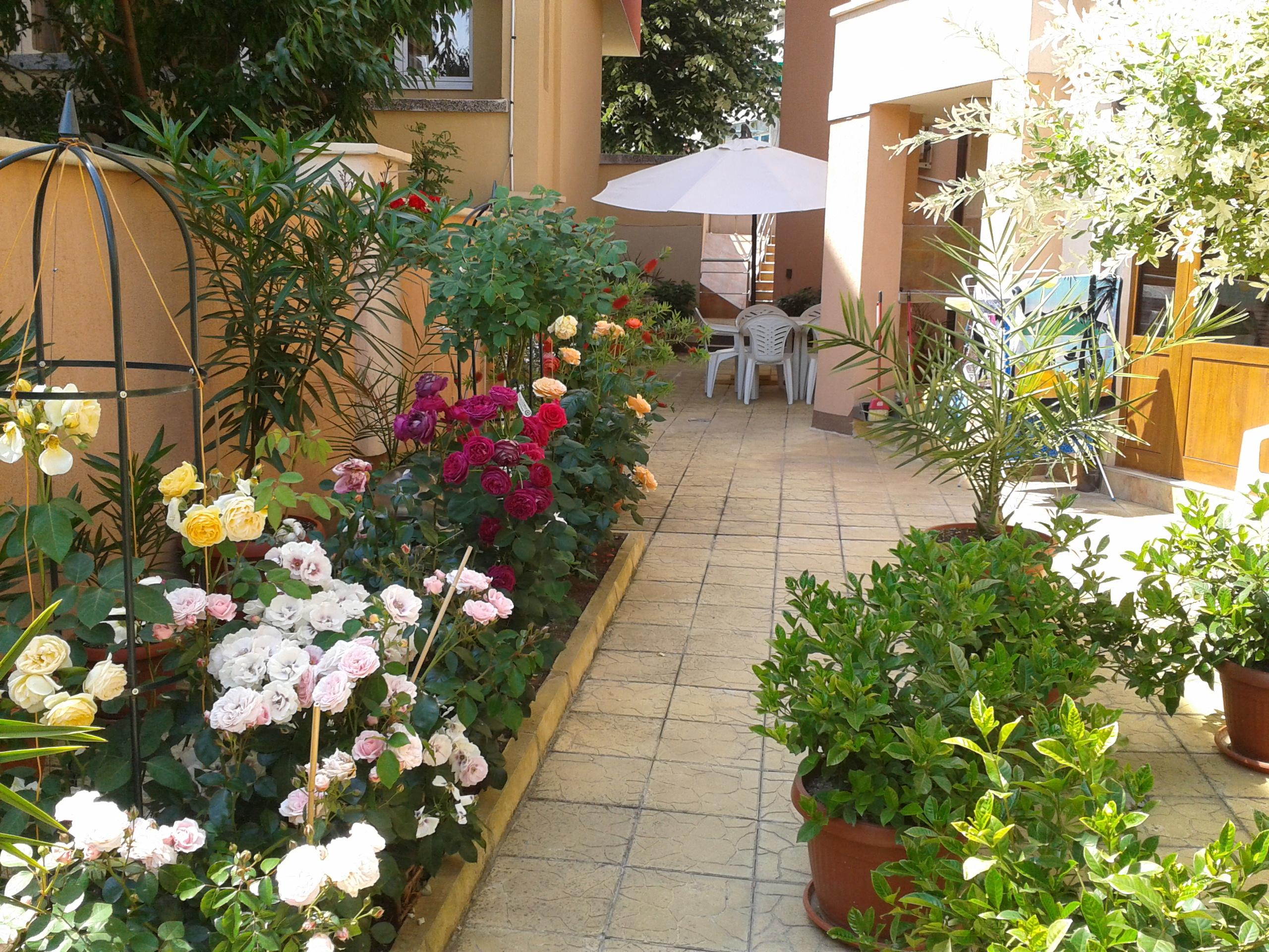

Napoli - Duni - Hotel Chuchulev