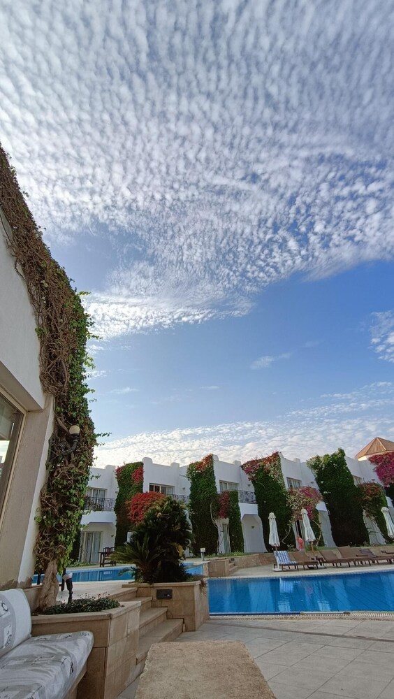 

Reggio Calabria - Sharm El Sheikh, Mar Rosso - Eden Rock Hotel Namaa Bay