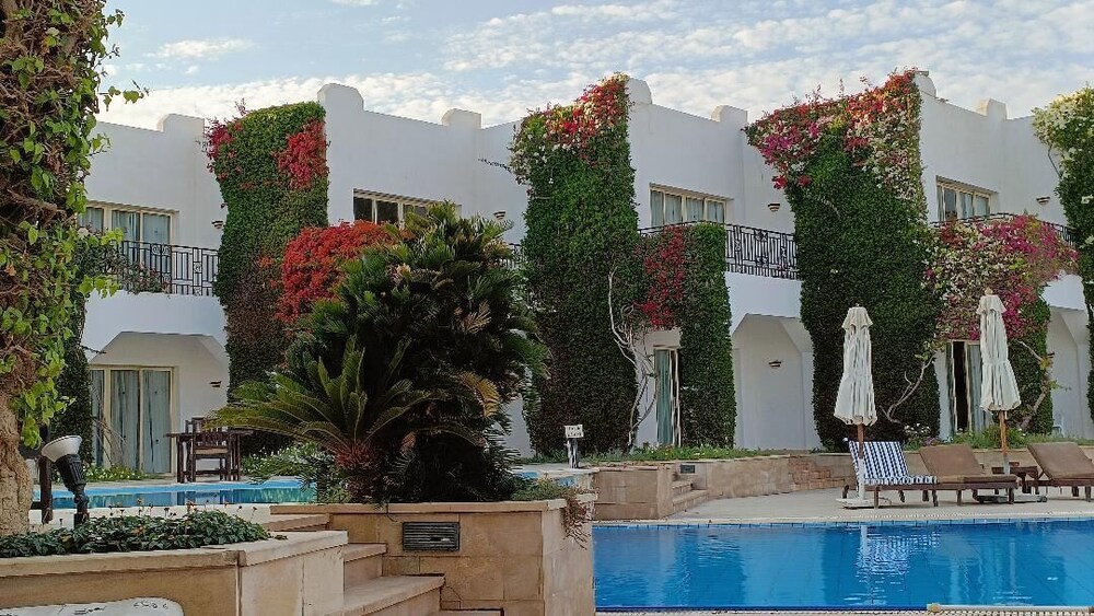 

Palermo - Sharm El Sheikh - Eden Rock Hotel Namaa Bay