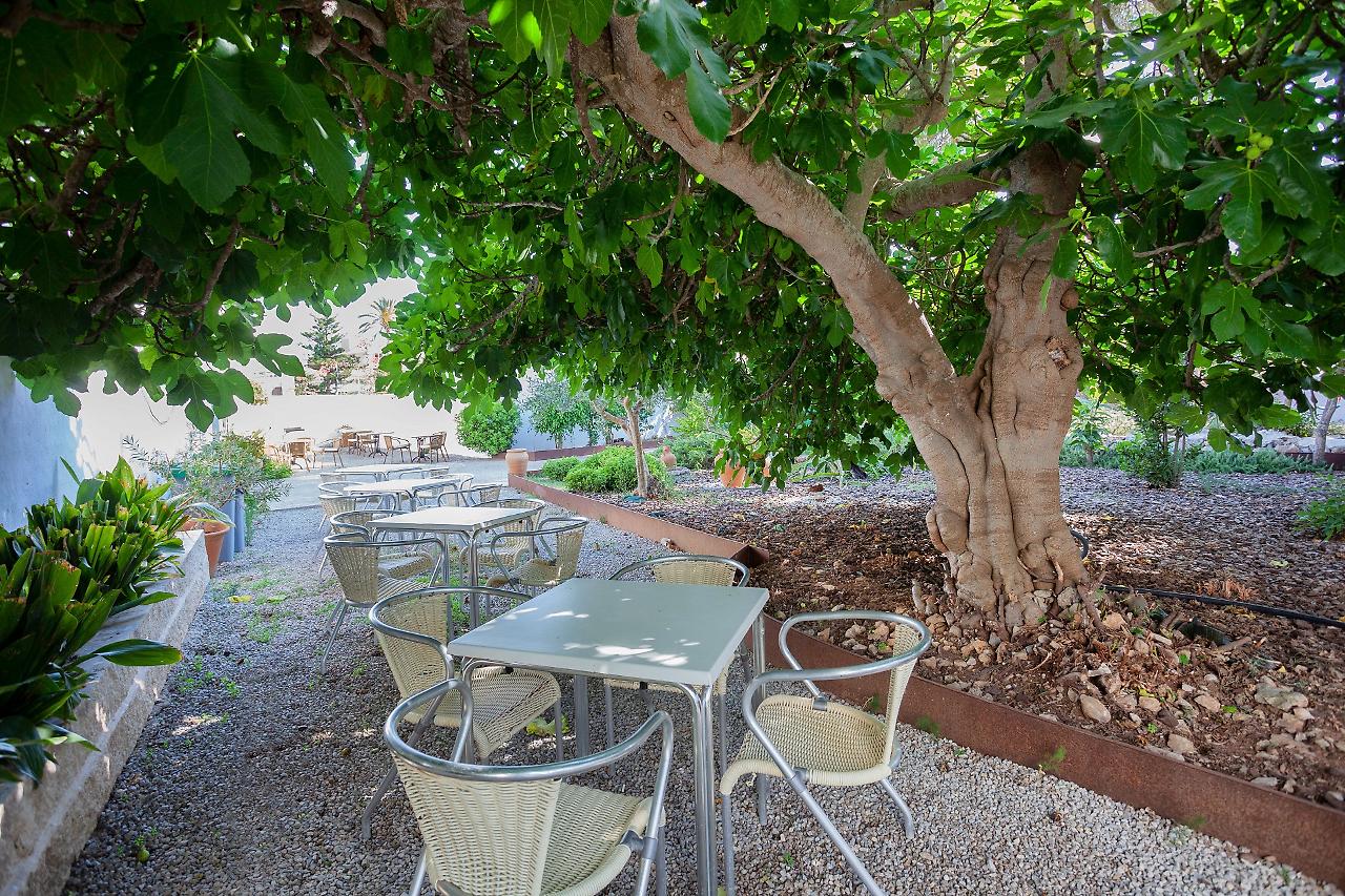 

Bari - Cala Ratjada - Petit Garden Hotel by Flacalco
