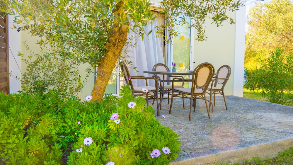 

Milano - Argostoli - Olive Trees Garden Lixouri