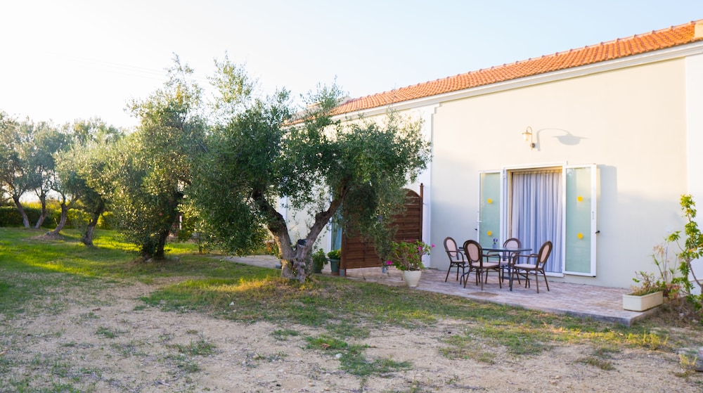 

Milano - Cefalonia, Isole Greche - Olive Trees Garden Lixouri