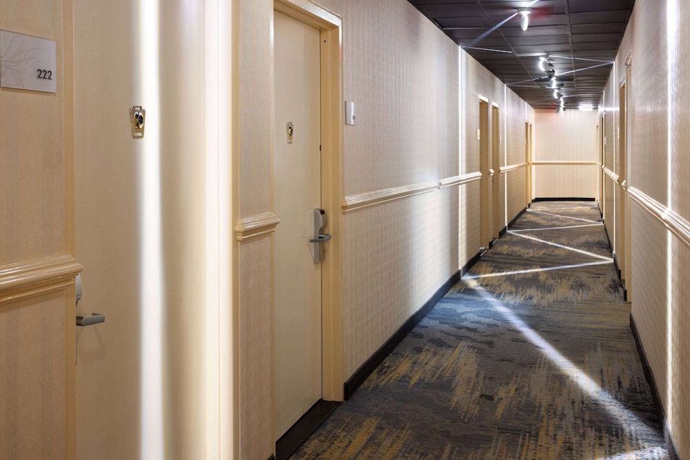 

Bari - Bronx - Ramada By Wyndham Bronx