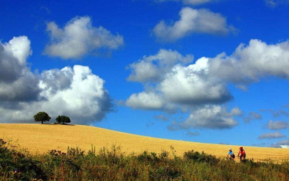 

Milano - Novo Sancti Petri - Hipotels Barrosa Park