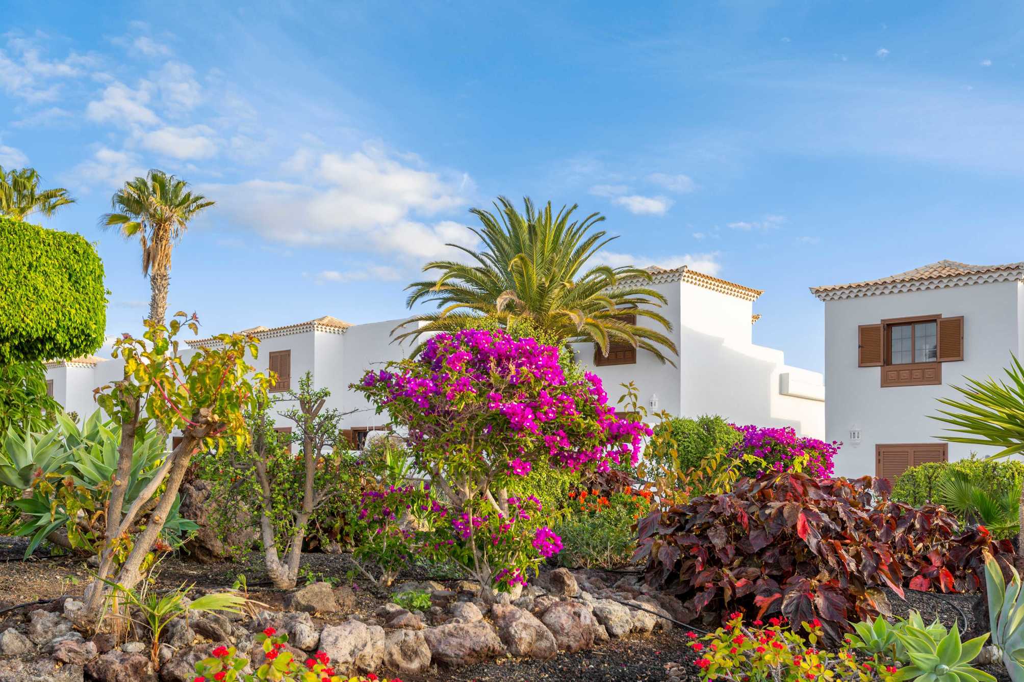 

Bari - Los Abrigos - Royal Tenerife Country Club