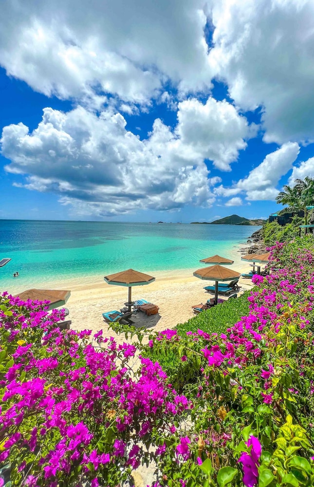 

Bologna - Jolly Harbour - COCOS Hotel - Adults Only - Caters to Couples - All Inclusive