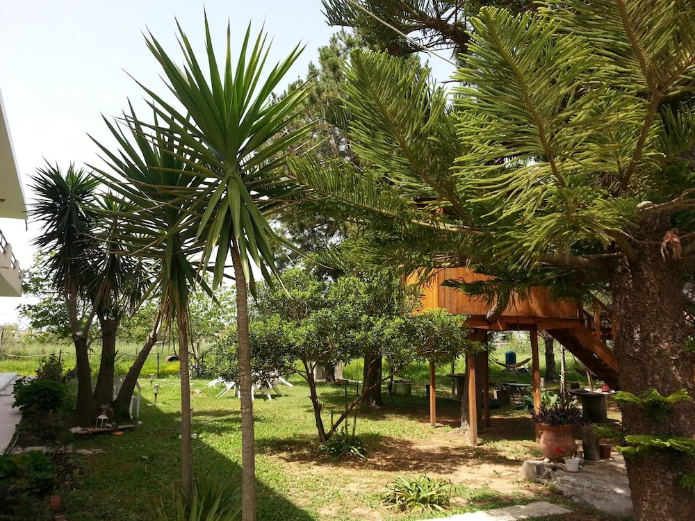 

Venezia - Moraḯtika - Gongis Studios