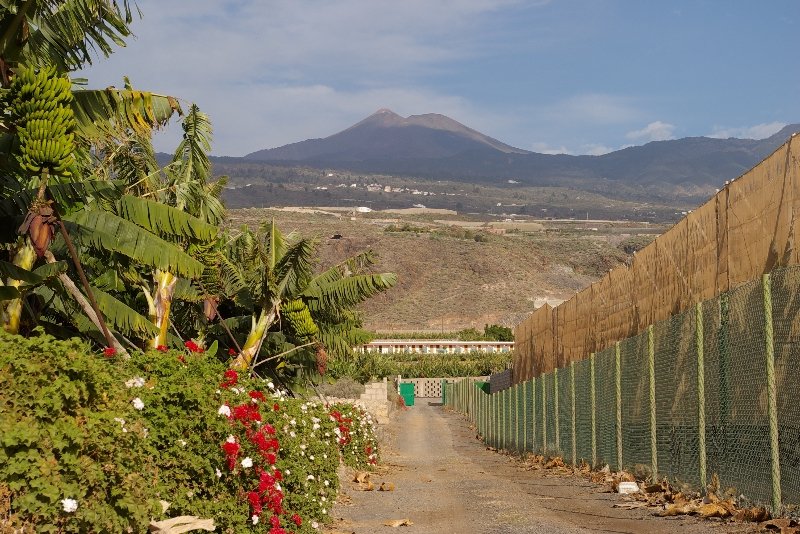 

Bari - Puerto de Santiago - Hotel Rural El Navío - Adults Only