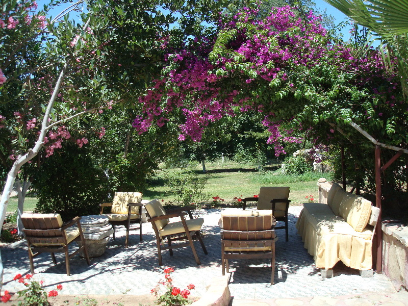 

Verona - Side - Neptun Hotel