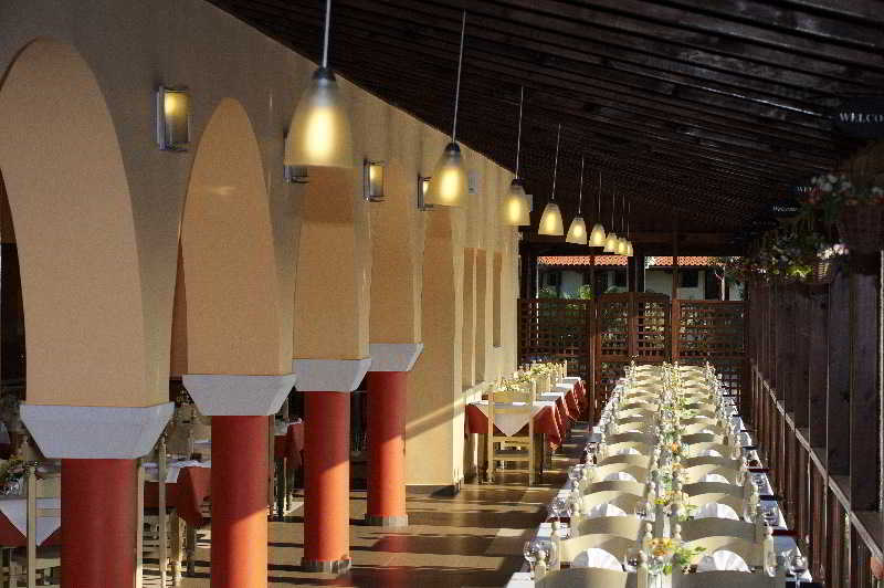 

Roma - Metamorfosi - Blue Dolphin