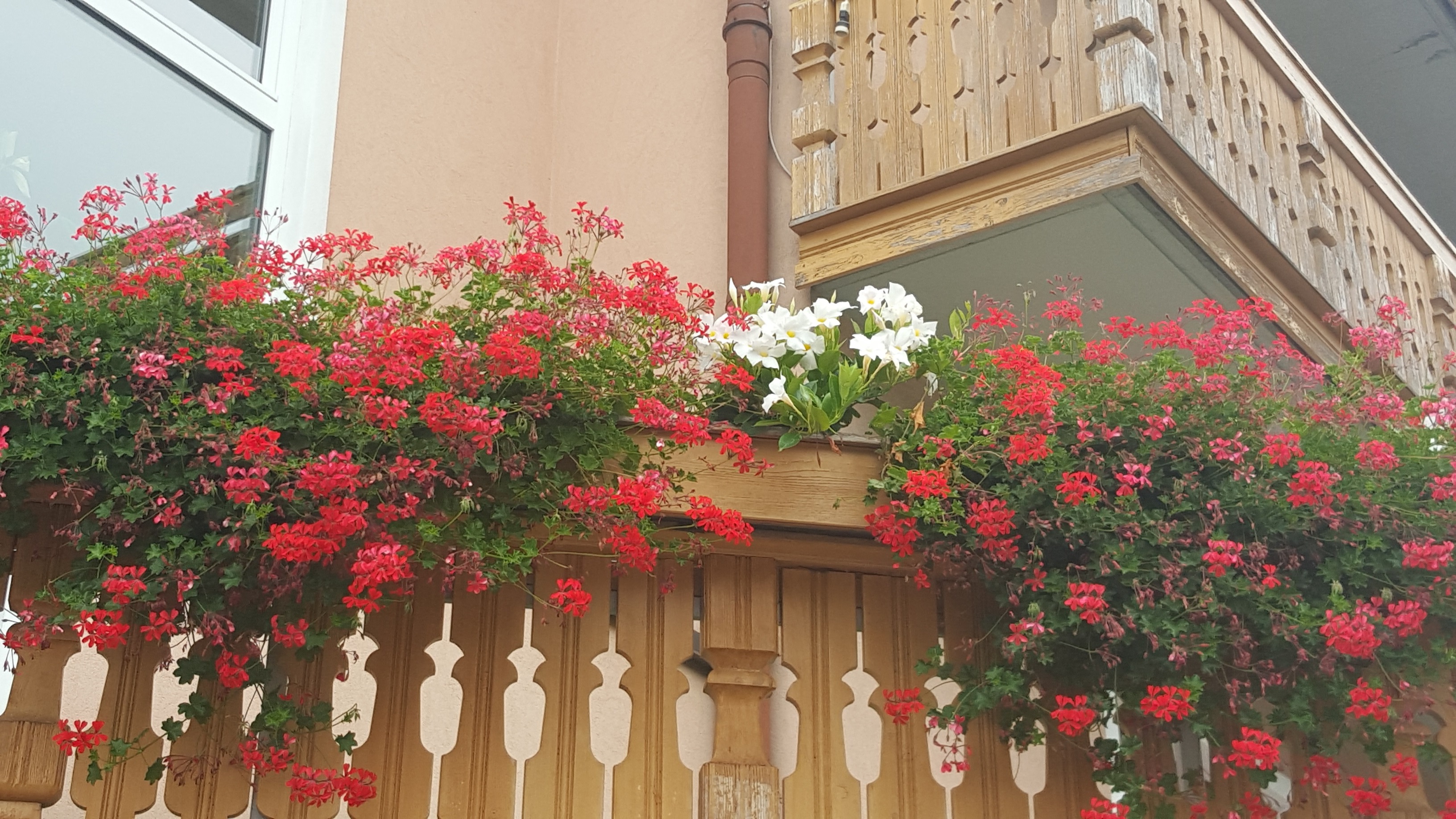 

Milano - Pergine Valsugana - Hotel Dolomiti