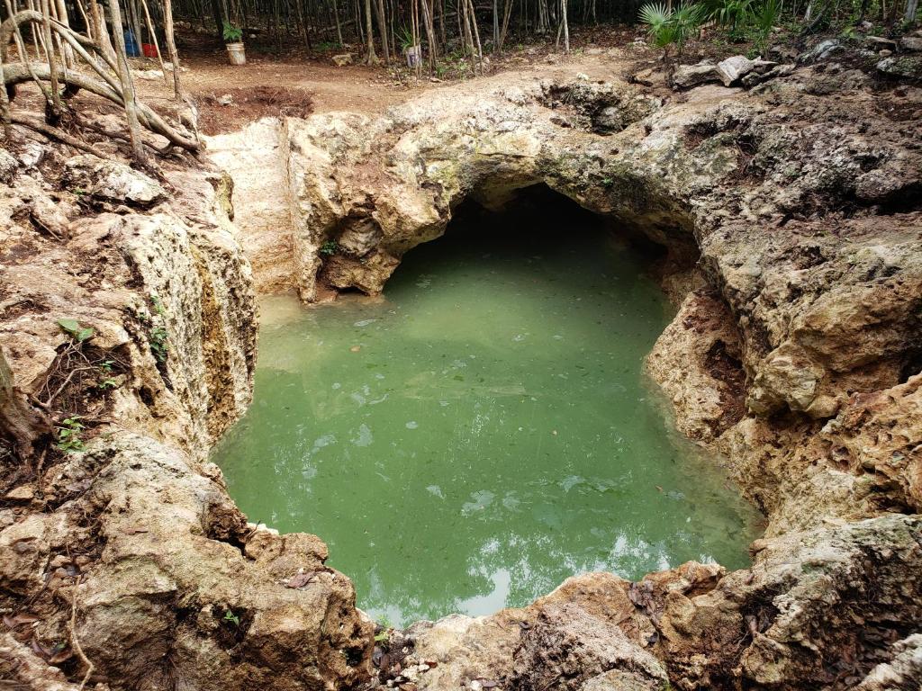

Bologna - Puerto Morelos - Aldea Maya-Ha Cabañas con cenotes