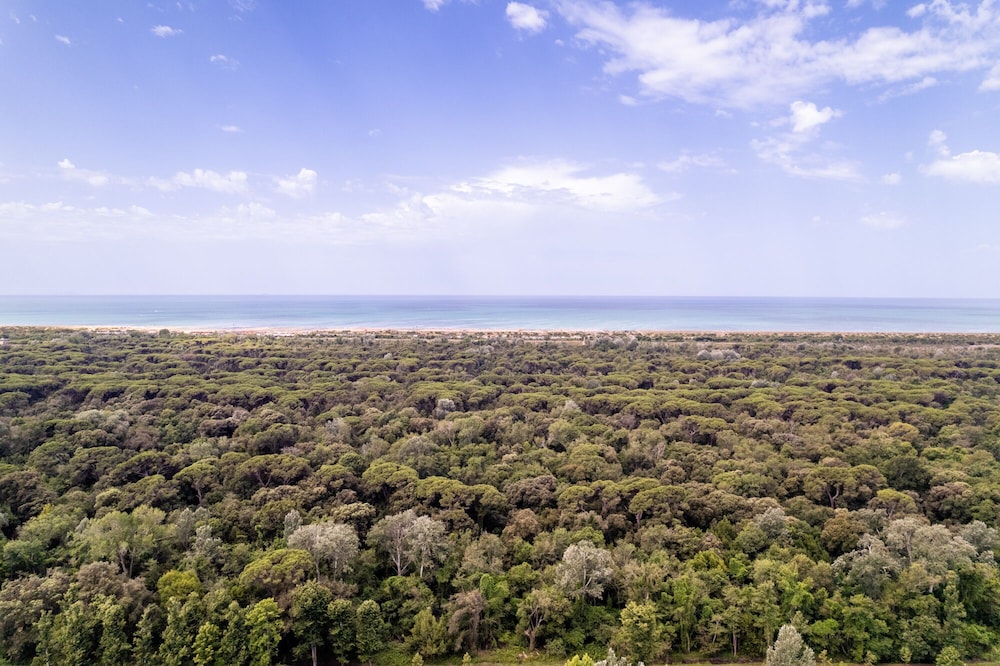 

Roma - Versilia e Costa Toscana, Mare Italia - Club del Sole Italia Family Camping Village Viareggio