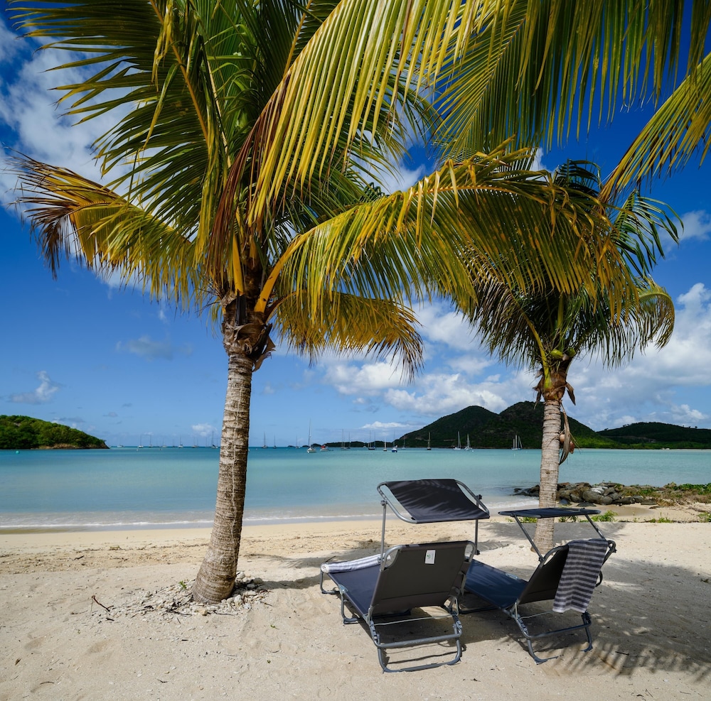 

Roma - Jolly Harbour - True North Waterfront Villa