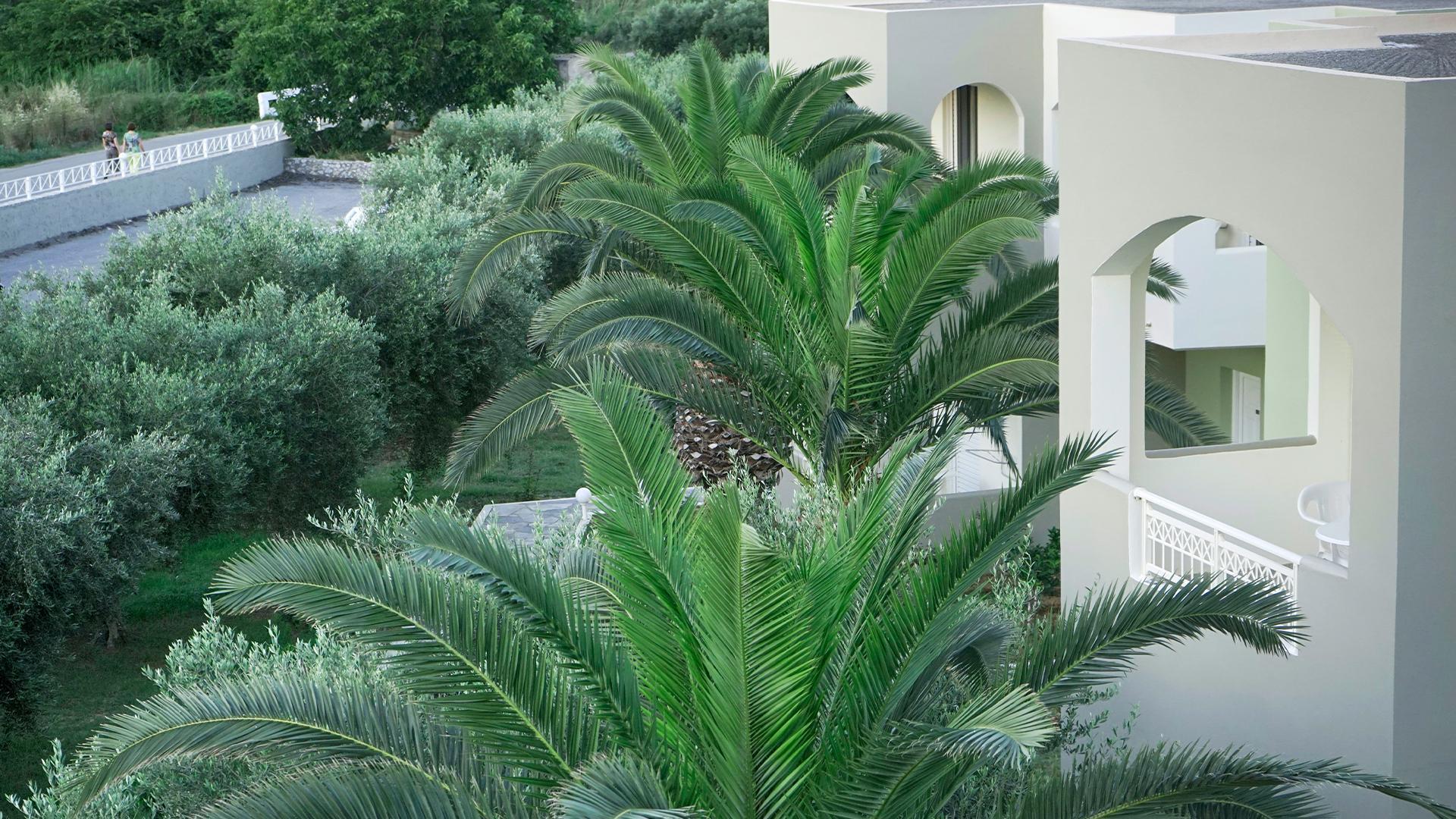 

Bari - Rethymno - Vardis Olive Garden