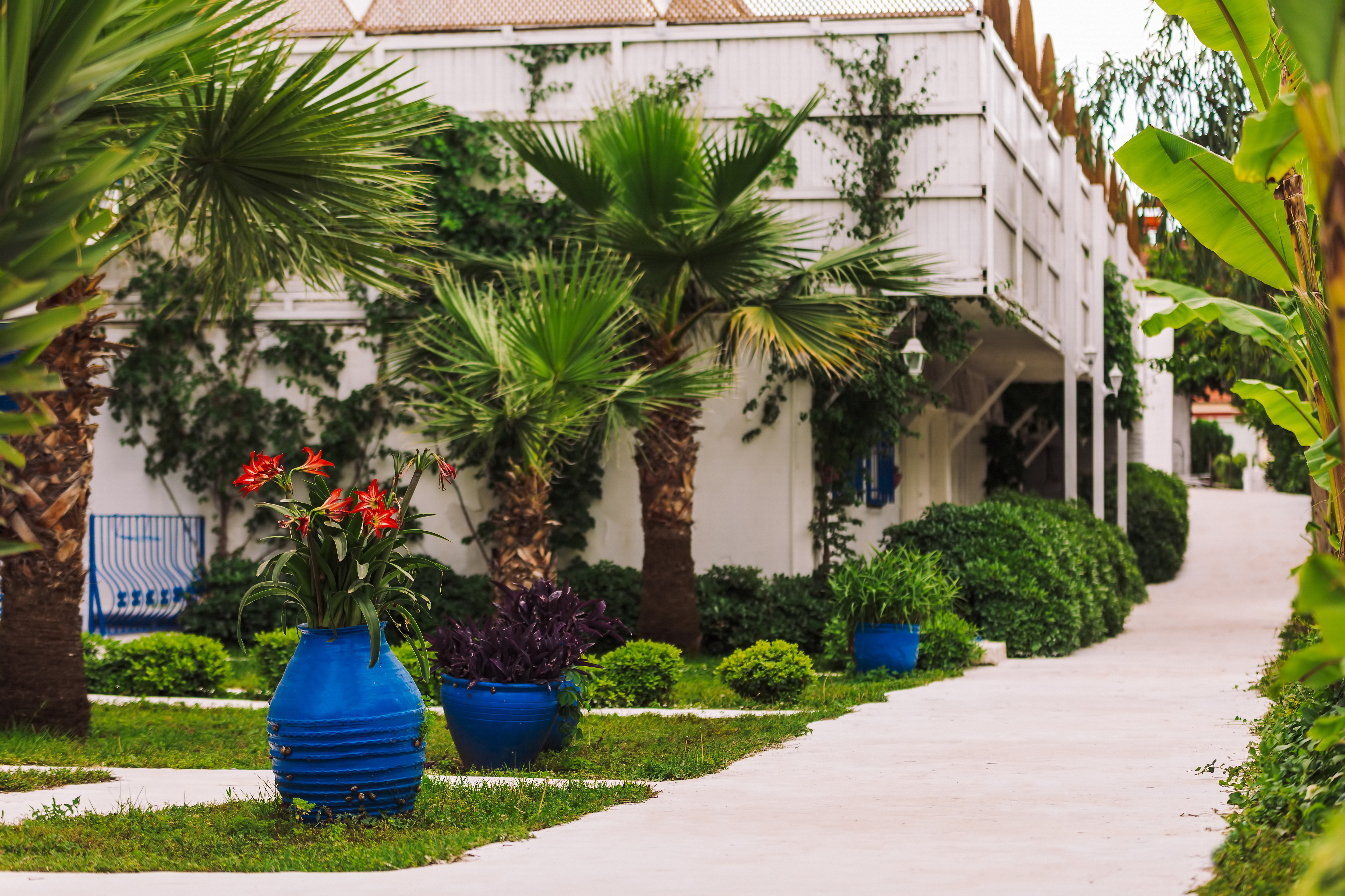 

Roma - Ovacik - Monta Verde Hotel & Villas