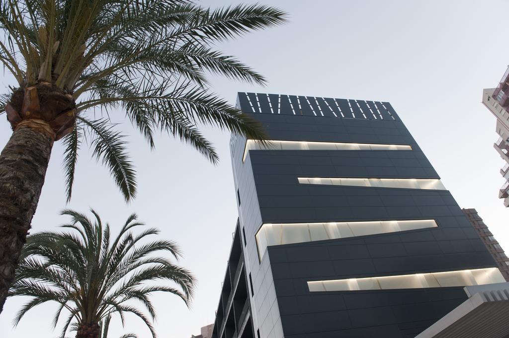 

Bologna - Villajoyosa - Hotel El Palmeral