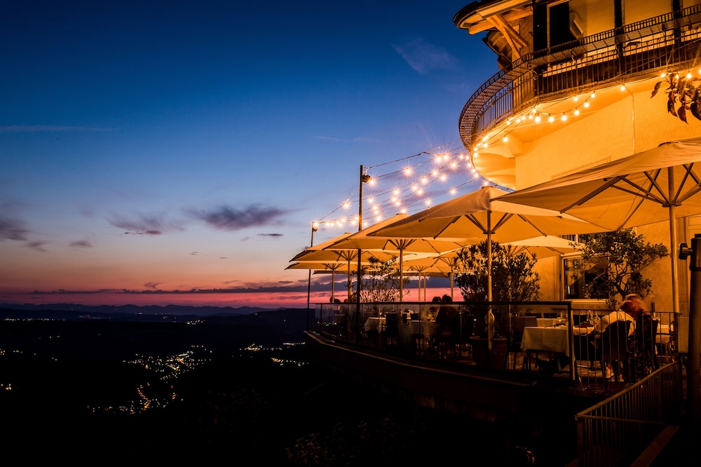 

Roma - Rudolfstetten - Hotel UTO KULM car-free hideaway in Zurich