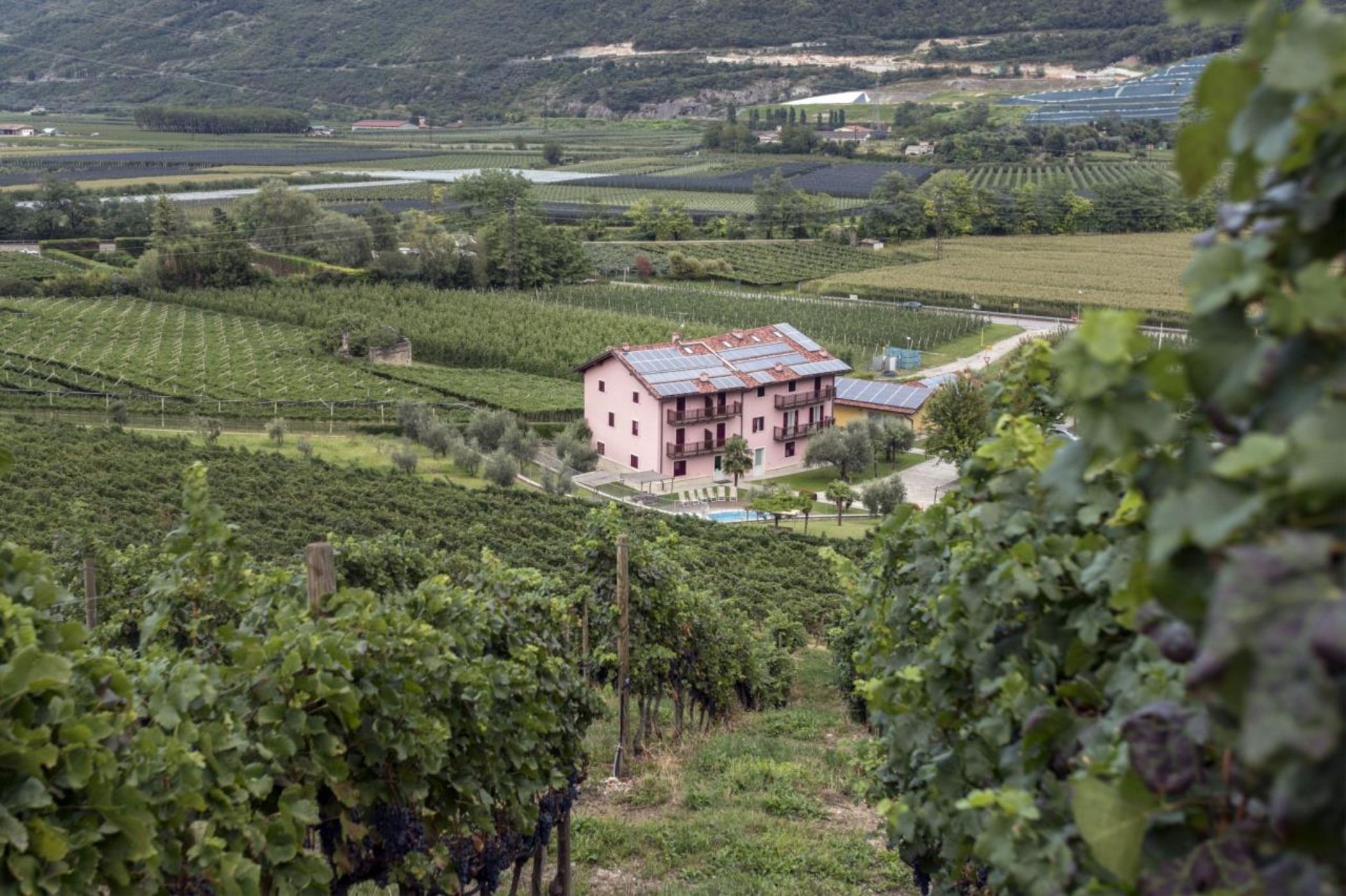 

Palermo - Torbole sul Garda - Residence La Vigna