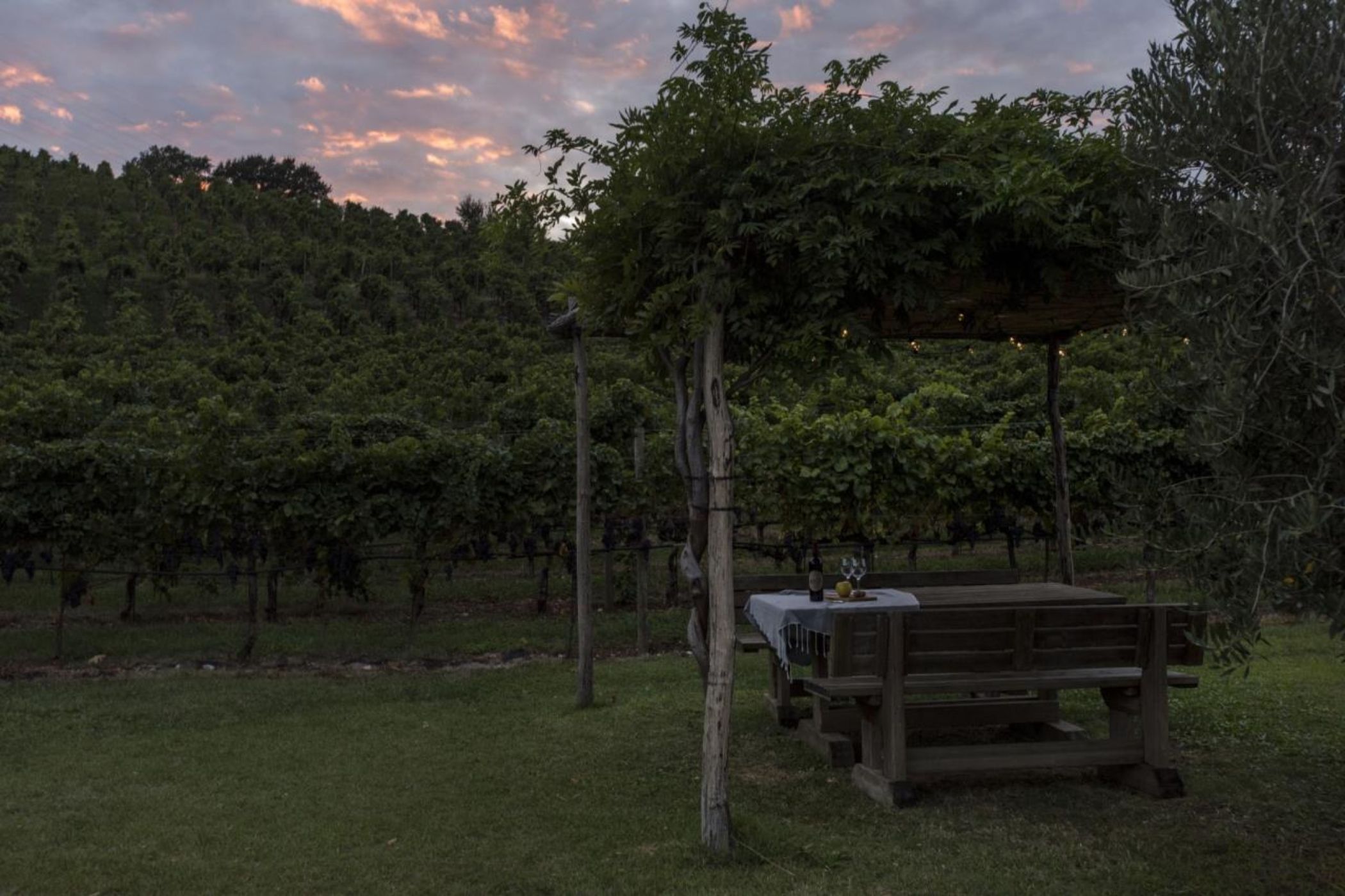 

Napoli - Riva del Garda - Residence La Vigna