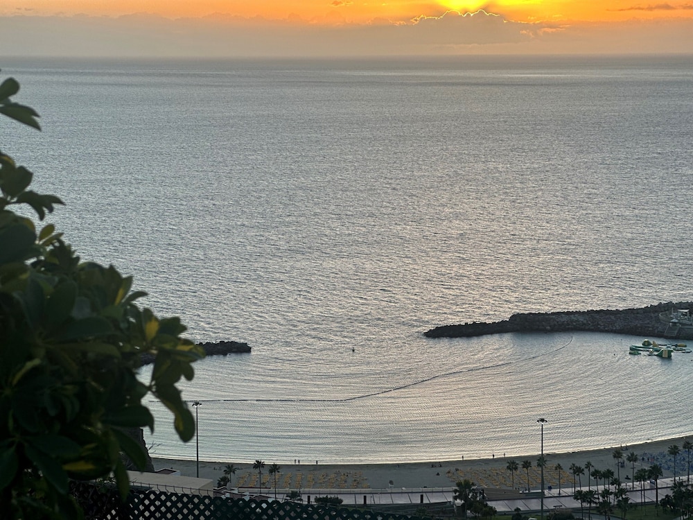 

Bologna - Playa de Amadores - Holiday Club Jardin Amadores
