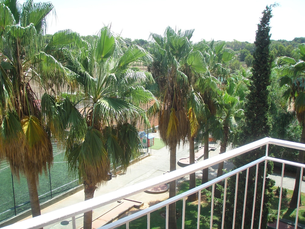 

Firenze - El Arenal - Hotel Don Miguel Playa