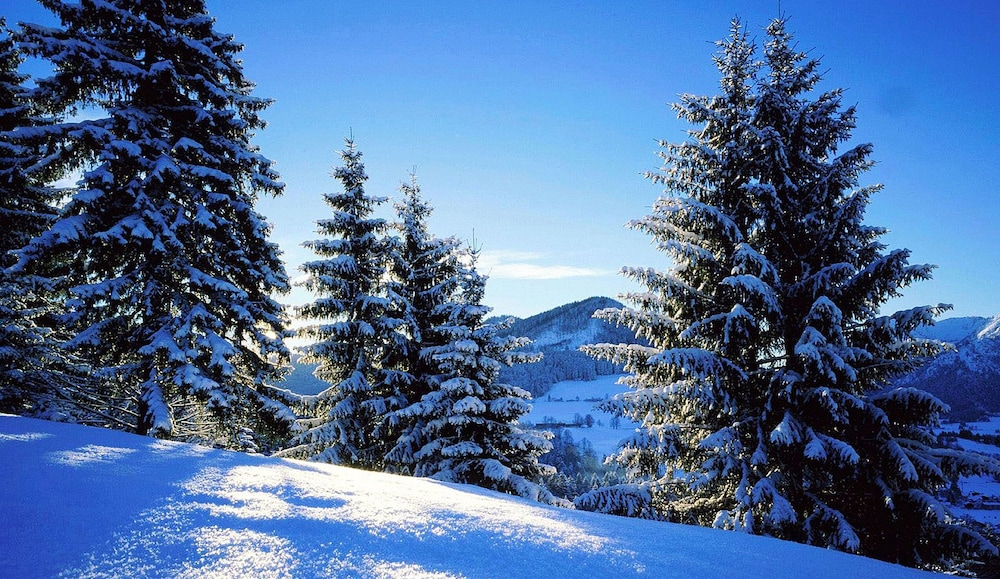 

Milano - La Massana - Hotel Folch
