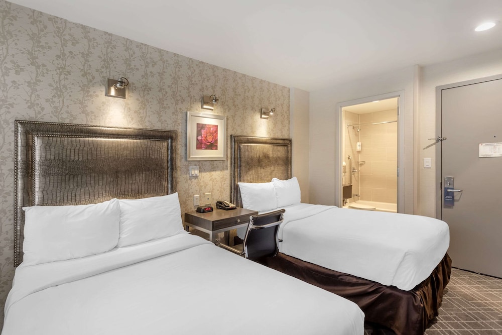 

Catania - Long Island City - Comfort Inn Manhattan - Midtown West