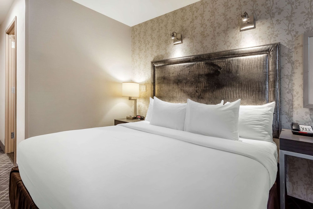 

Lamezia Terme - Long Island City - Comfort Inn Manhattan - Midtown West