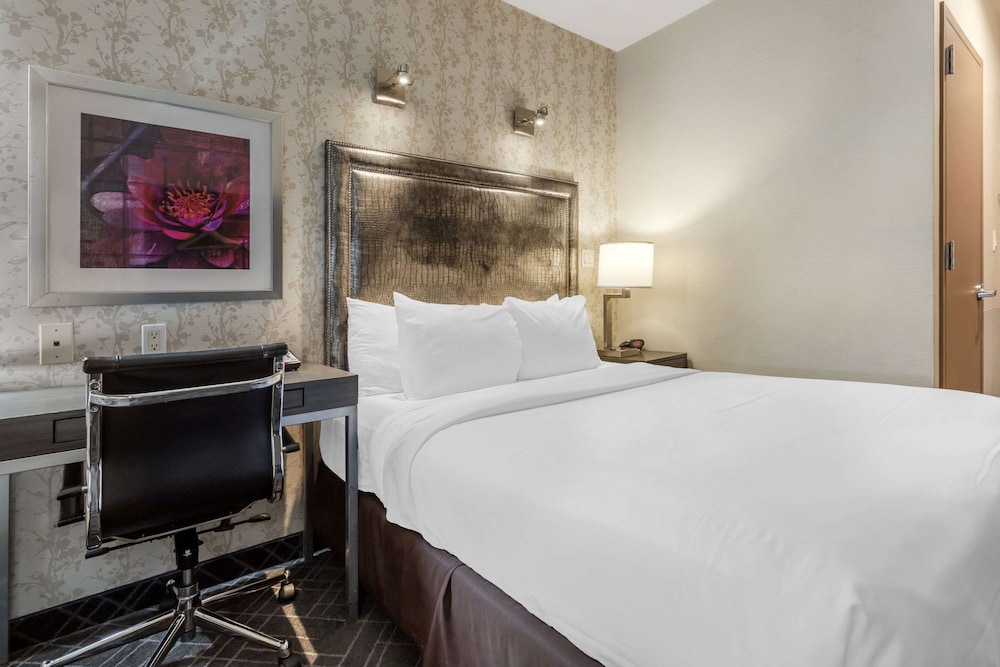 

Napoli - Long Island City - Comfort Inn Manhattan - Midtown West