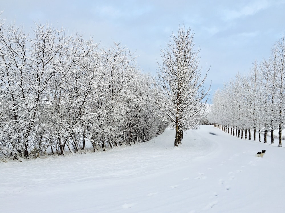 

Milano - Hvolsvöllur - Hótel Eyjafjallajökull