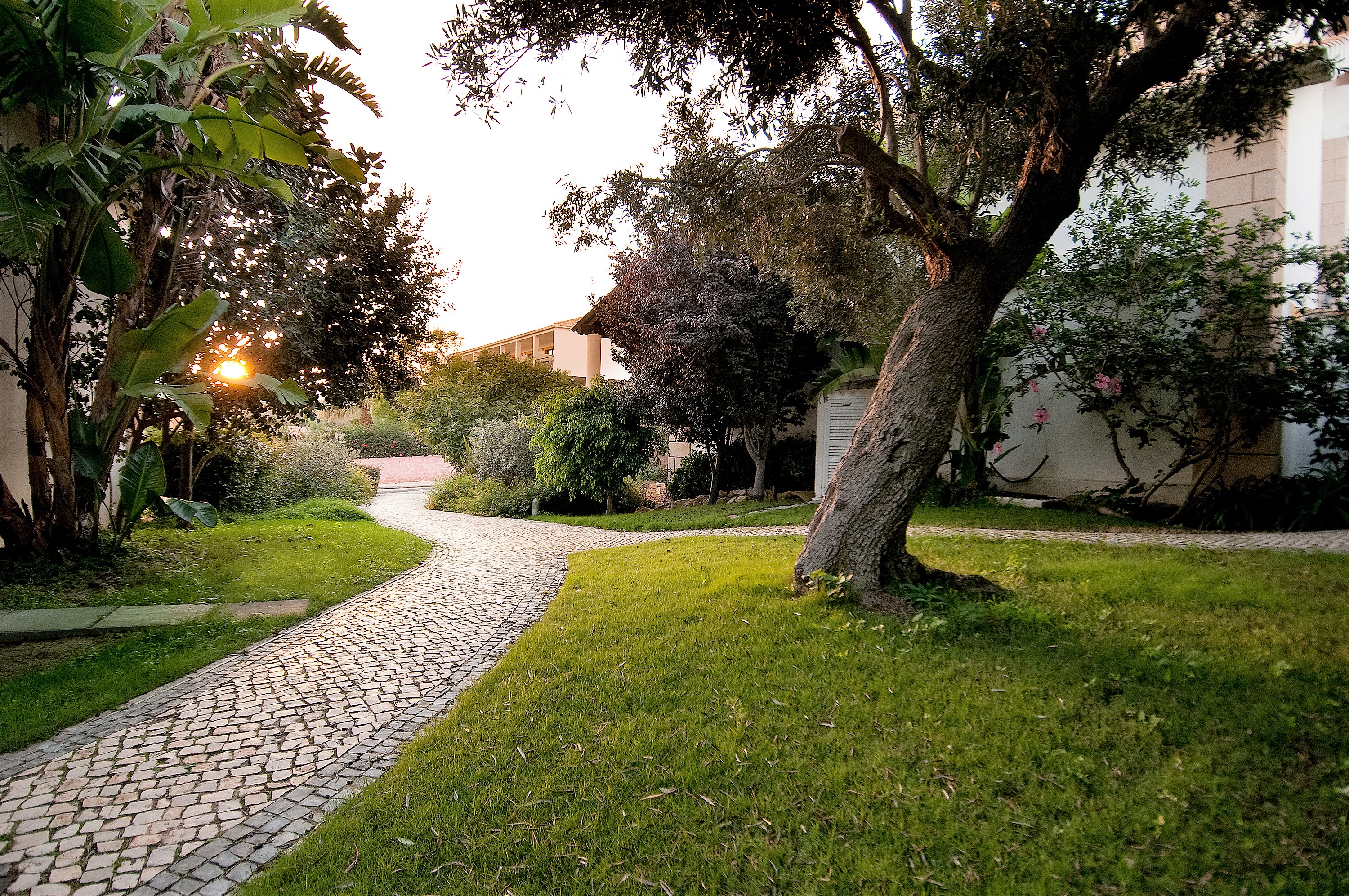 

Roma - Salema - Luzmar Villas