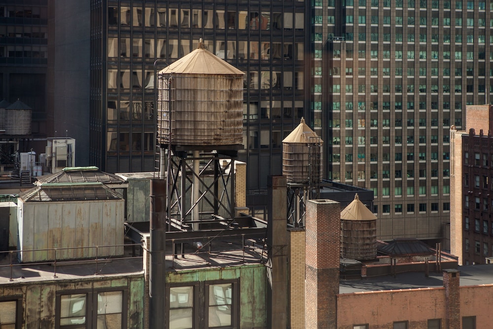 

Firenze - New York, Stati Uniti - Park Central Hotel New York
