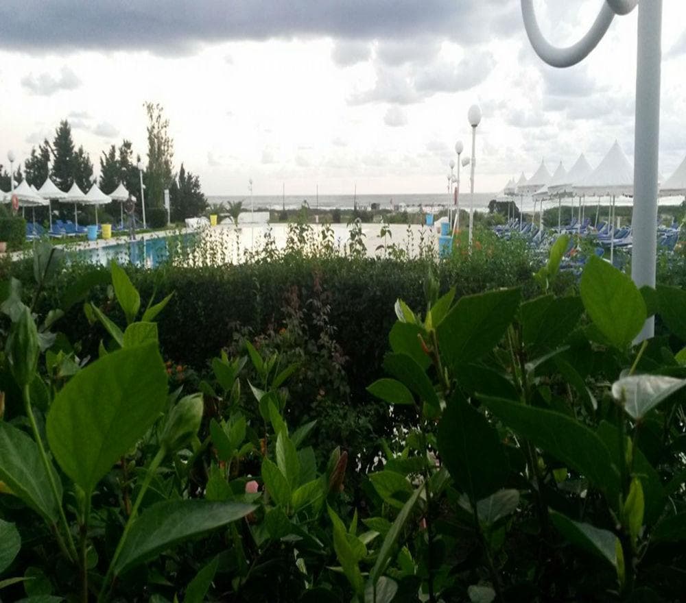 

Palermo - Bizerte - Bizerta Resort