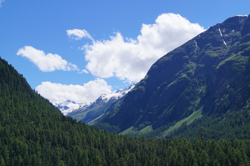 

Catania - Saint Moritz - Hotel Schweizerhof Pontresina