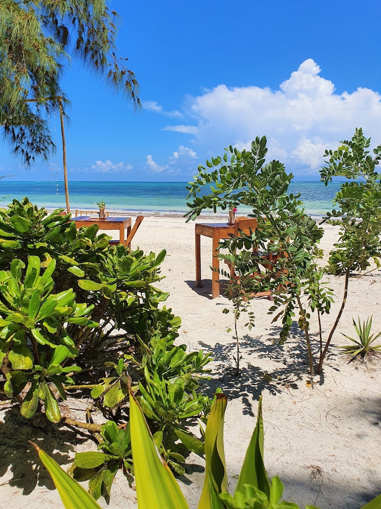 

Roma - Dongwe - Blue Palm Zanzibar