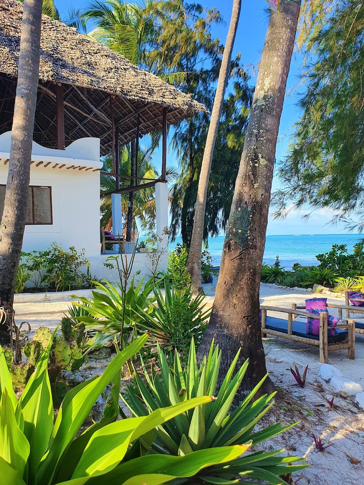 

Roma - Dongwe - Blue Palm Zanzibar