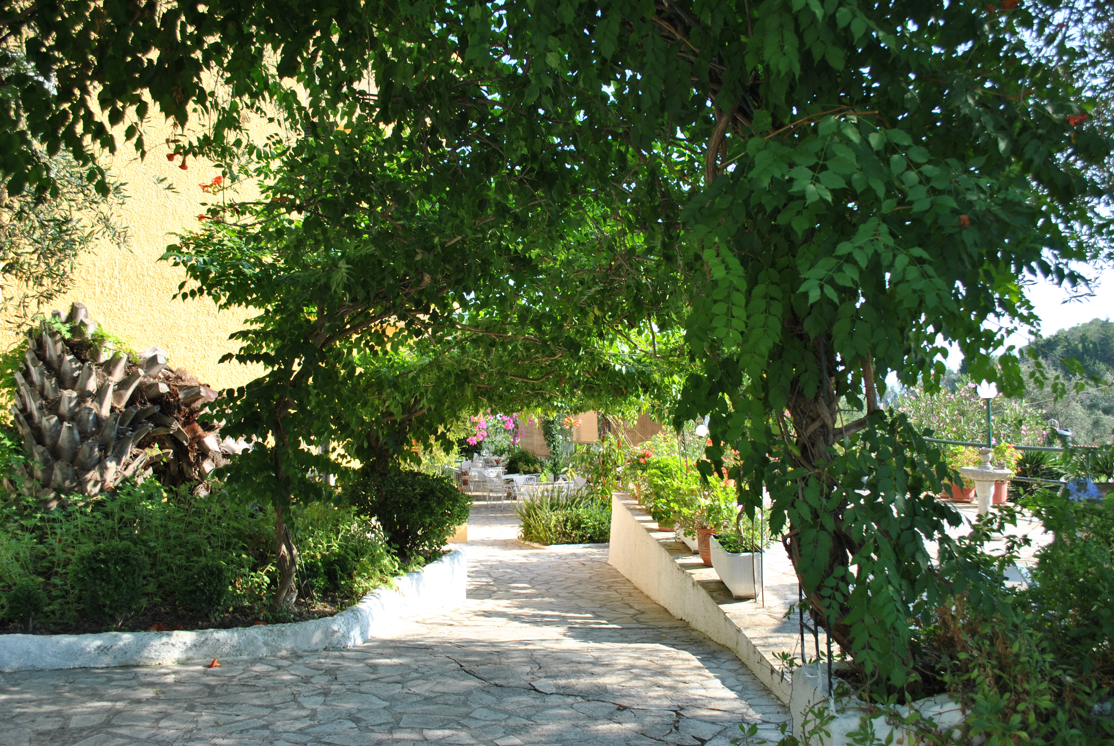 

Milano - Agios Georgios, Corfú - Helios Splendid