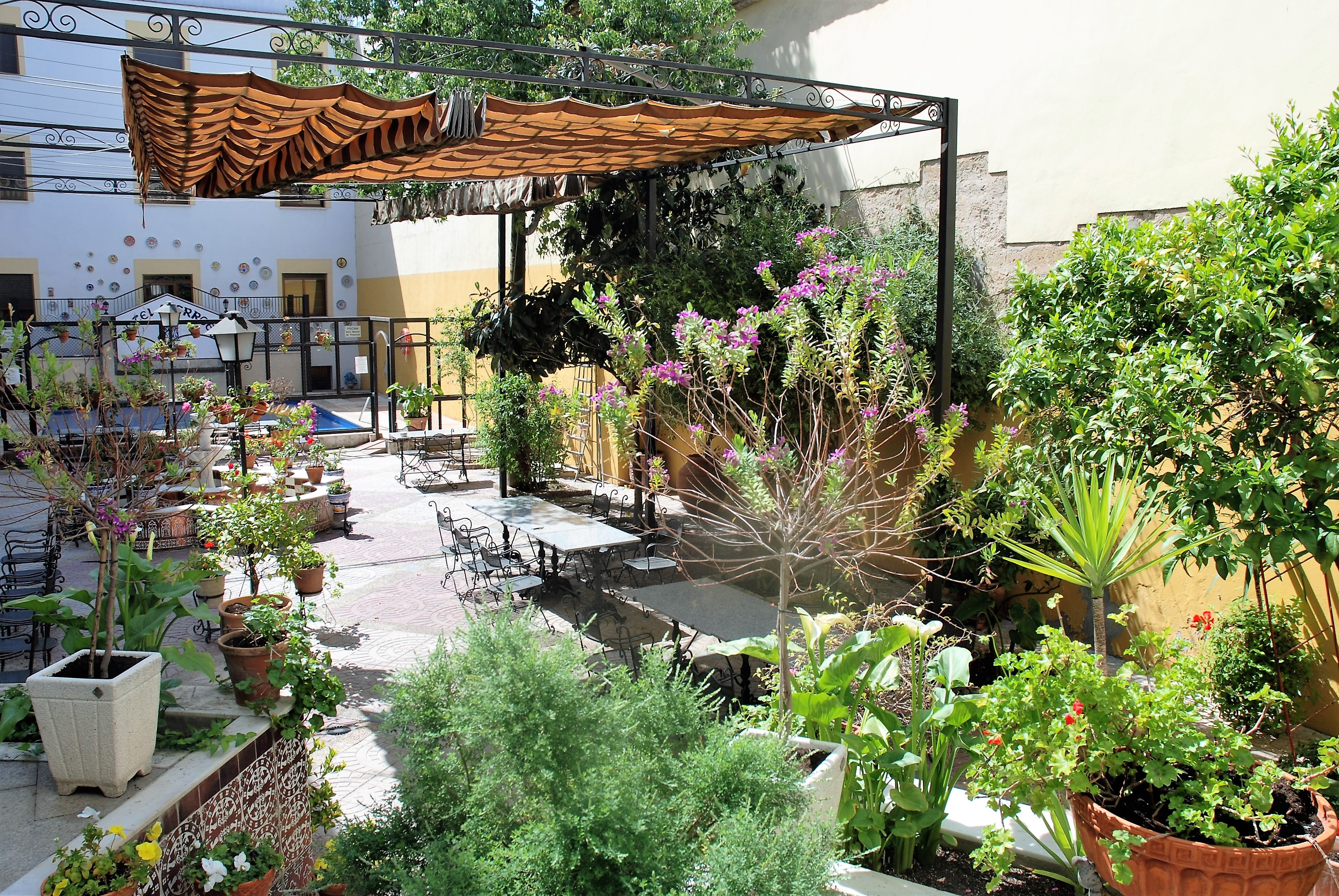 

Roma - Cordoba - Hotel Averroes