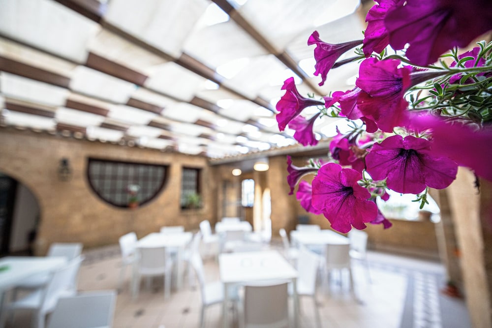 

Verona - Marinella di Selinunte - La Rosa Hotel - Selinunte